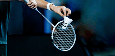 Image Categorie Raquette de badminton